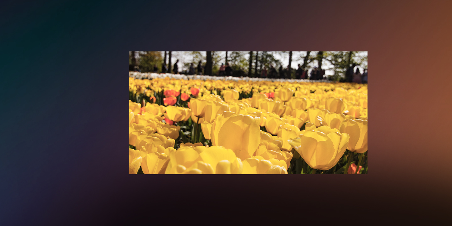 p2 indoor LED module